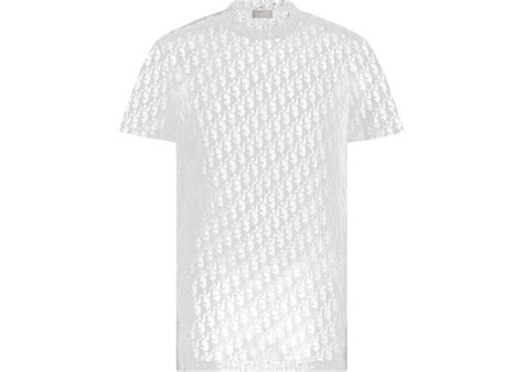 dior t shirt transparent